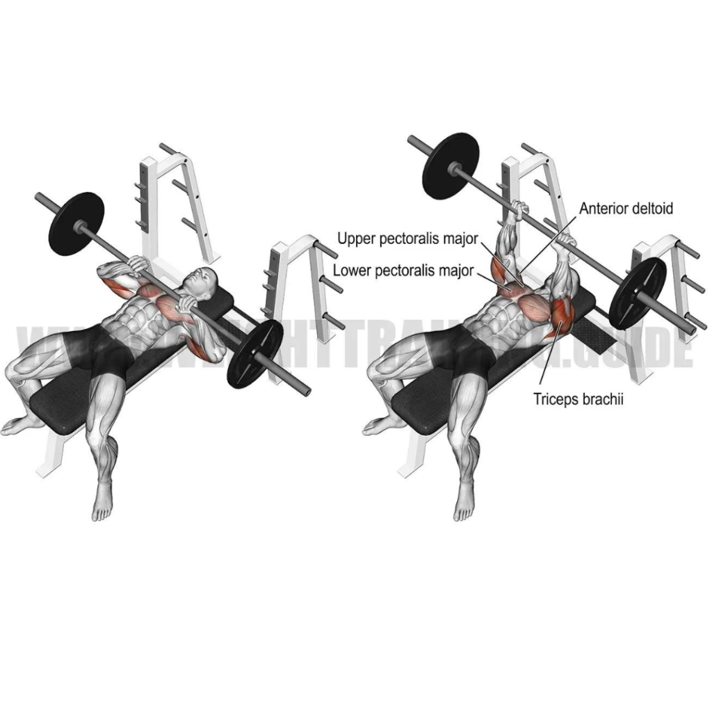 inner chest workout
