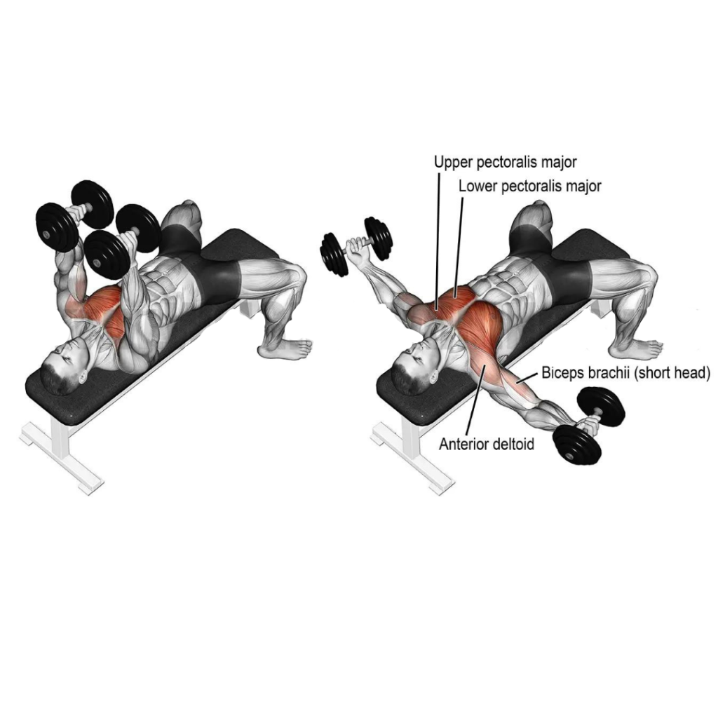 inner chest workout